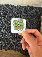 Sonoran Studs