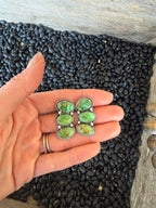Sonoran Studs