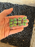 Sonoran Studs