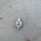 Sonoran turquiose stud earrings