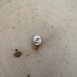 Small Sonoran stud earrings