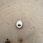 Paloma stud earrings
