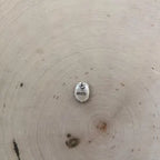 Sonoran oval flower stud earrings