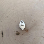 White Horse stud earrings